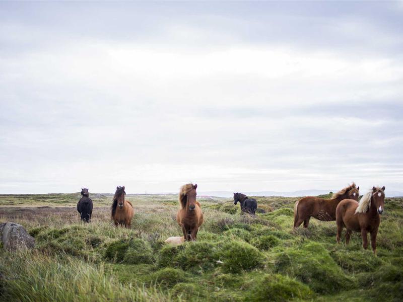 iPhone省电优化<br>续航掉电快完整设置教程